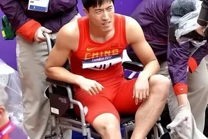  如何找到专业的篮球理疗师：全面指南与策略分析